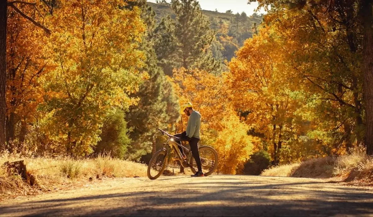 6 Best E-Mountain Bikes Under $5,000 (2025)