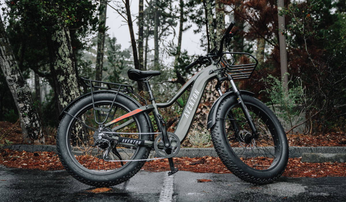 Aventon's Aventure Vs. Bakcou's Flatlander: Comparing Fat Tire Ebikes