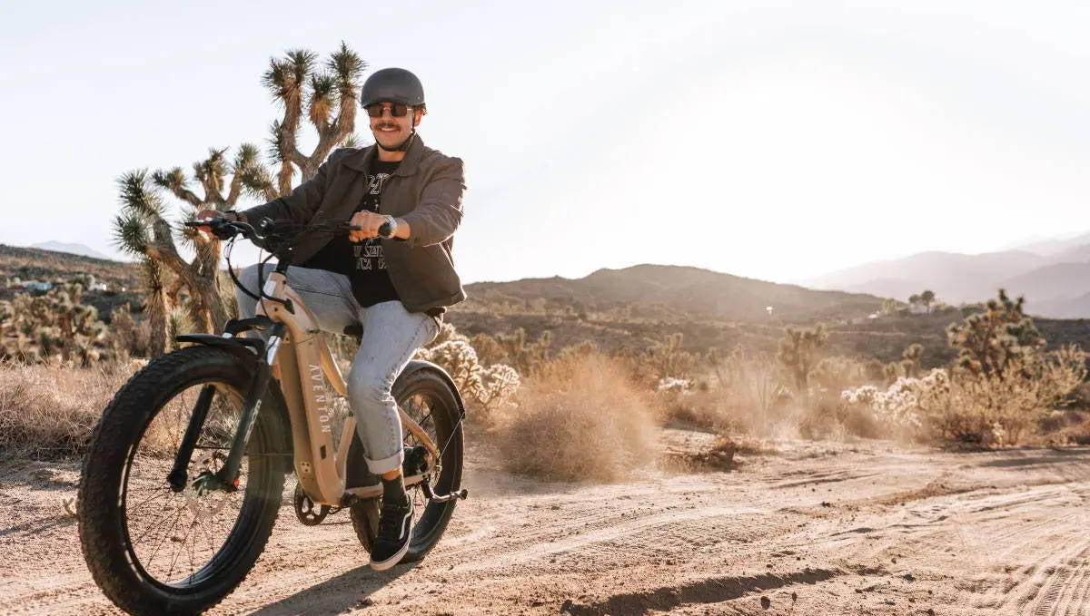Aventon Aventure.2 vs Himiway Cruiser: What’s the Best Fat Tire Ebike?