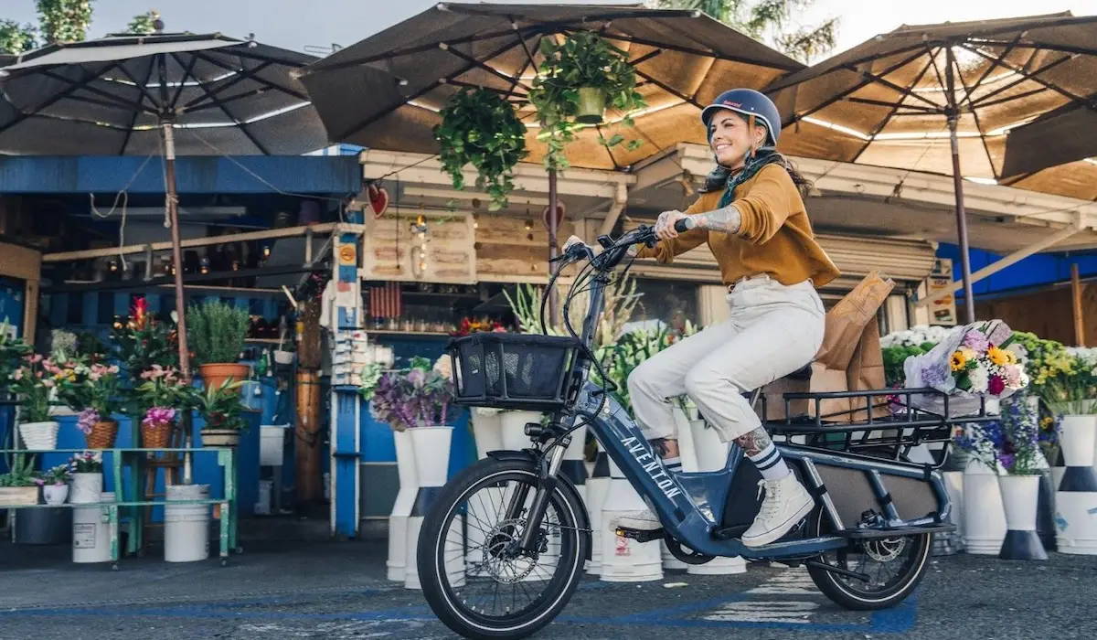8 Best Ebikes for Delivery