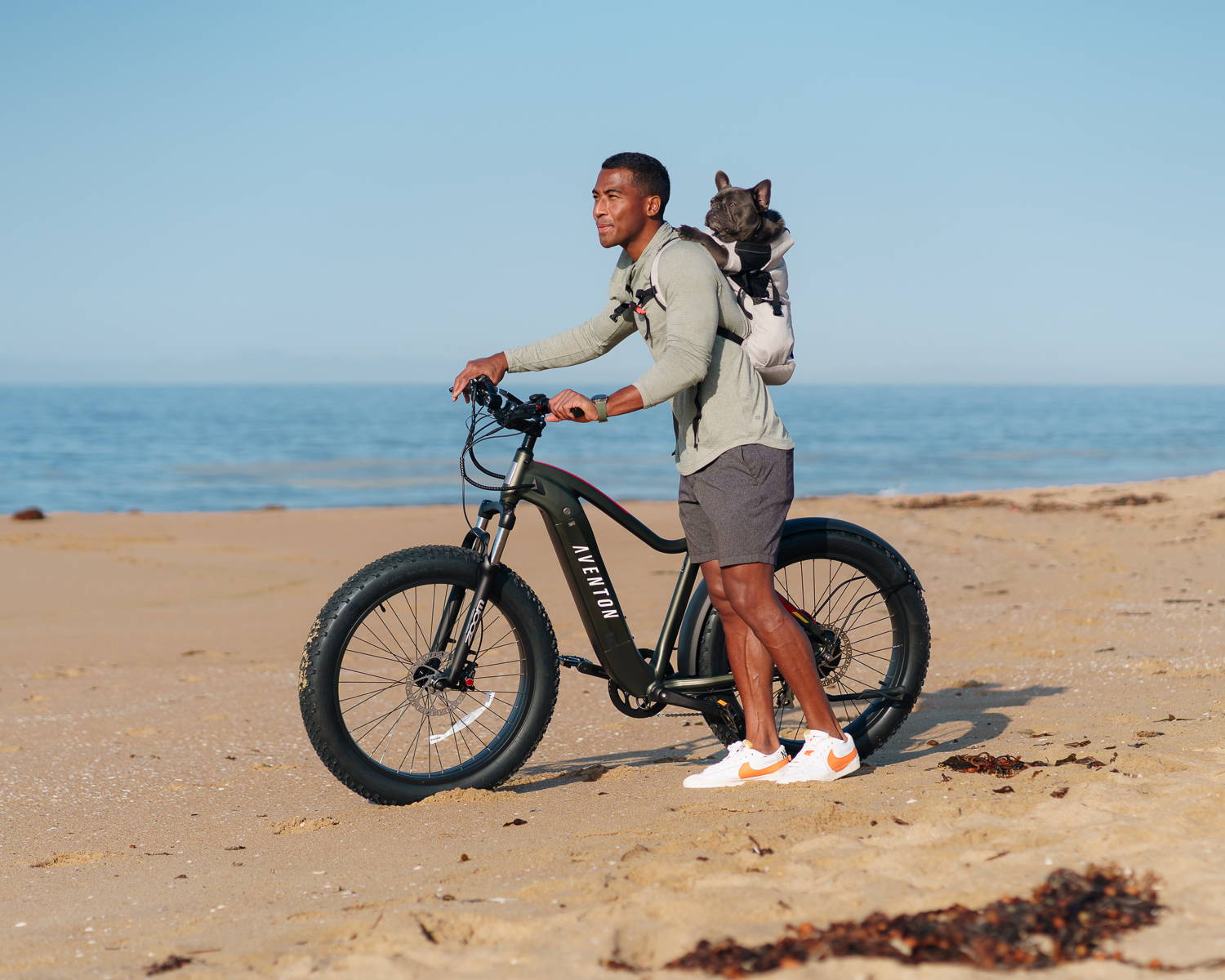 Tips, Tricks, and Safety when Biking with Dogs