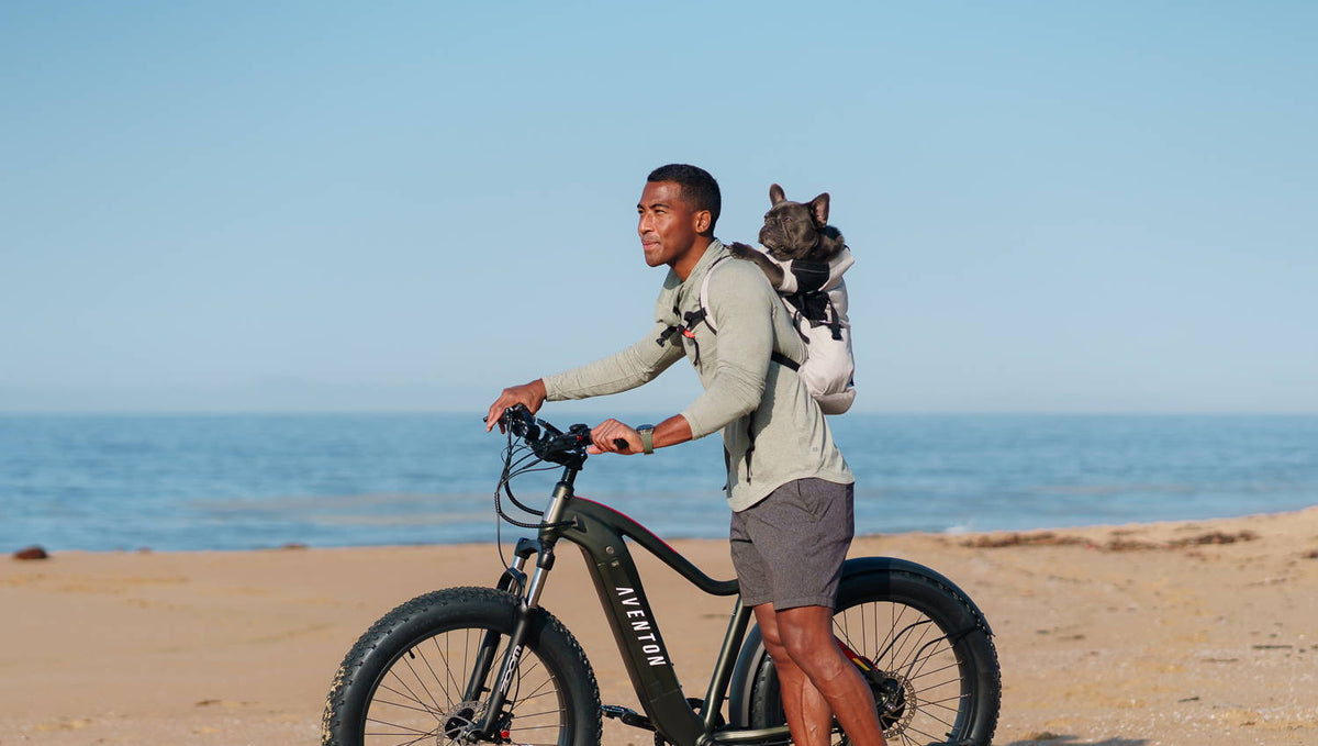 Tips, Tricks, and Safety when Biking with Dogs