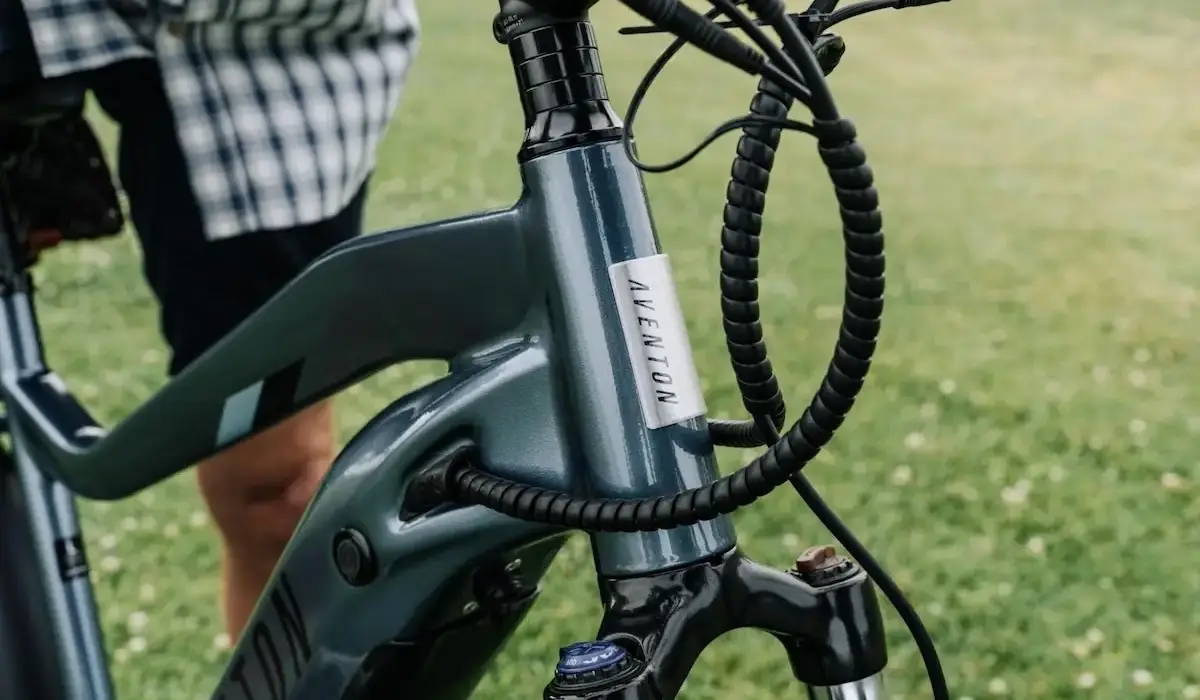 5 Best Electric Bikes With 300-lb Capacity 2025