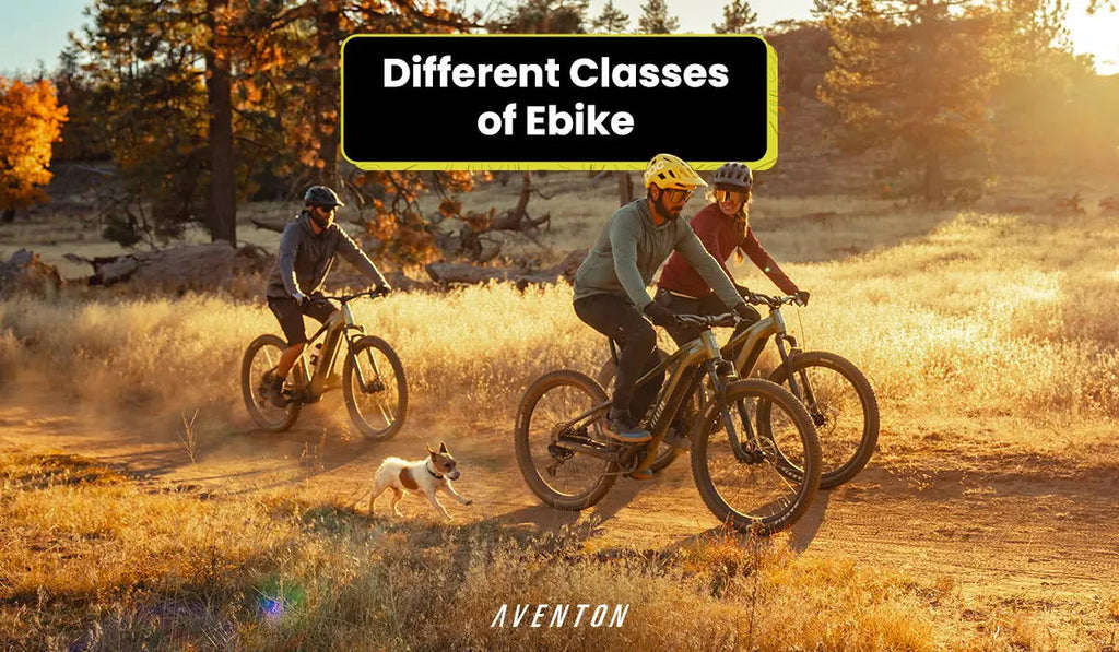 www.aventon.com