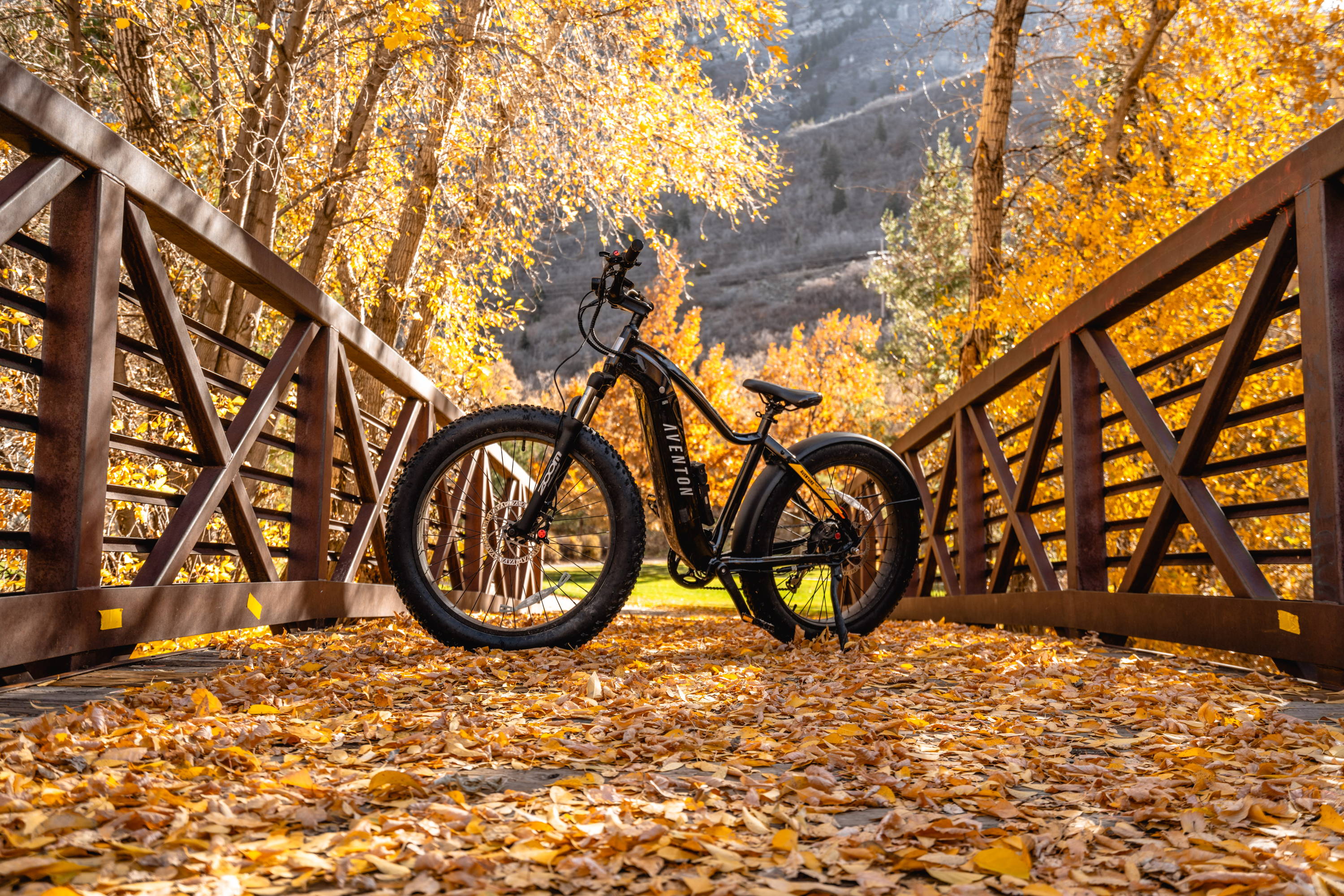 Best Electric Bike Gift Ideas for 2021