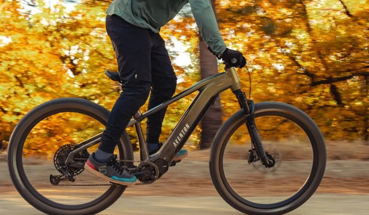 Best 250-Watt Electric Bikes for Adults in 2025