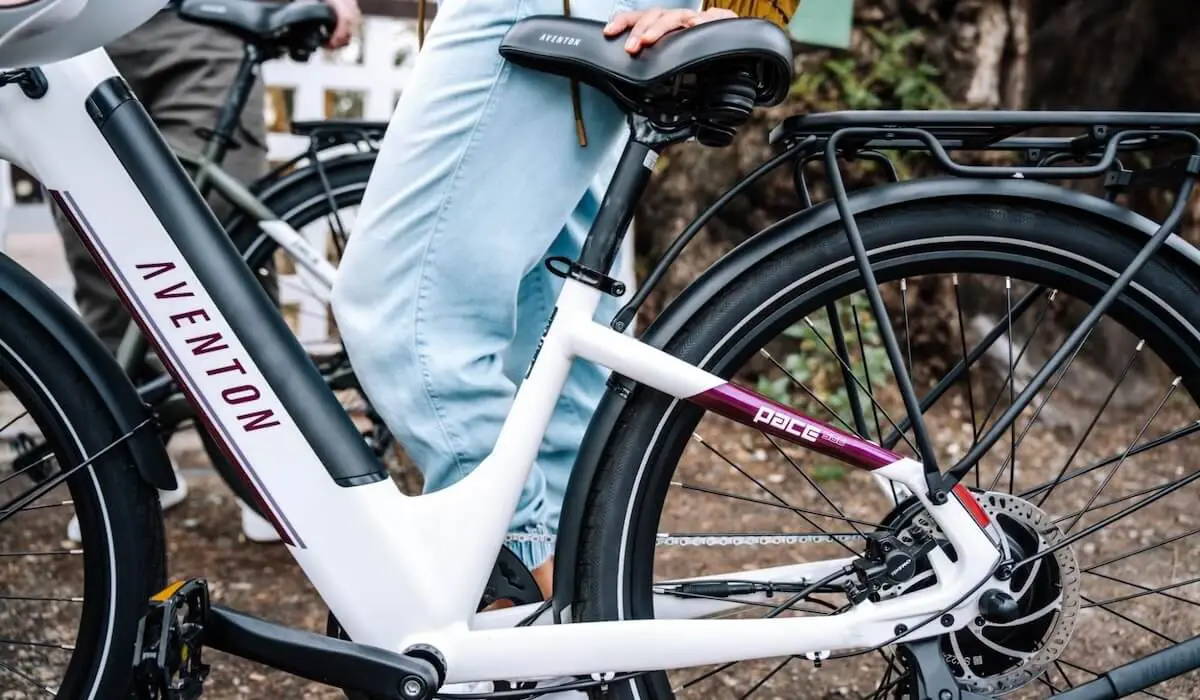6 Best 500-Watt Electric Bikes for Adults in 2024