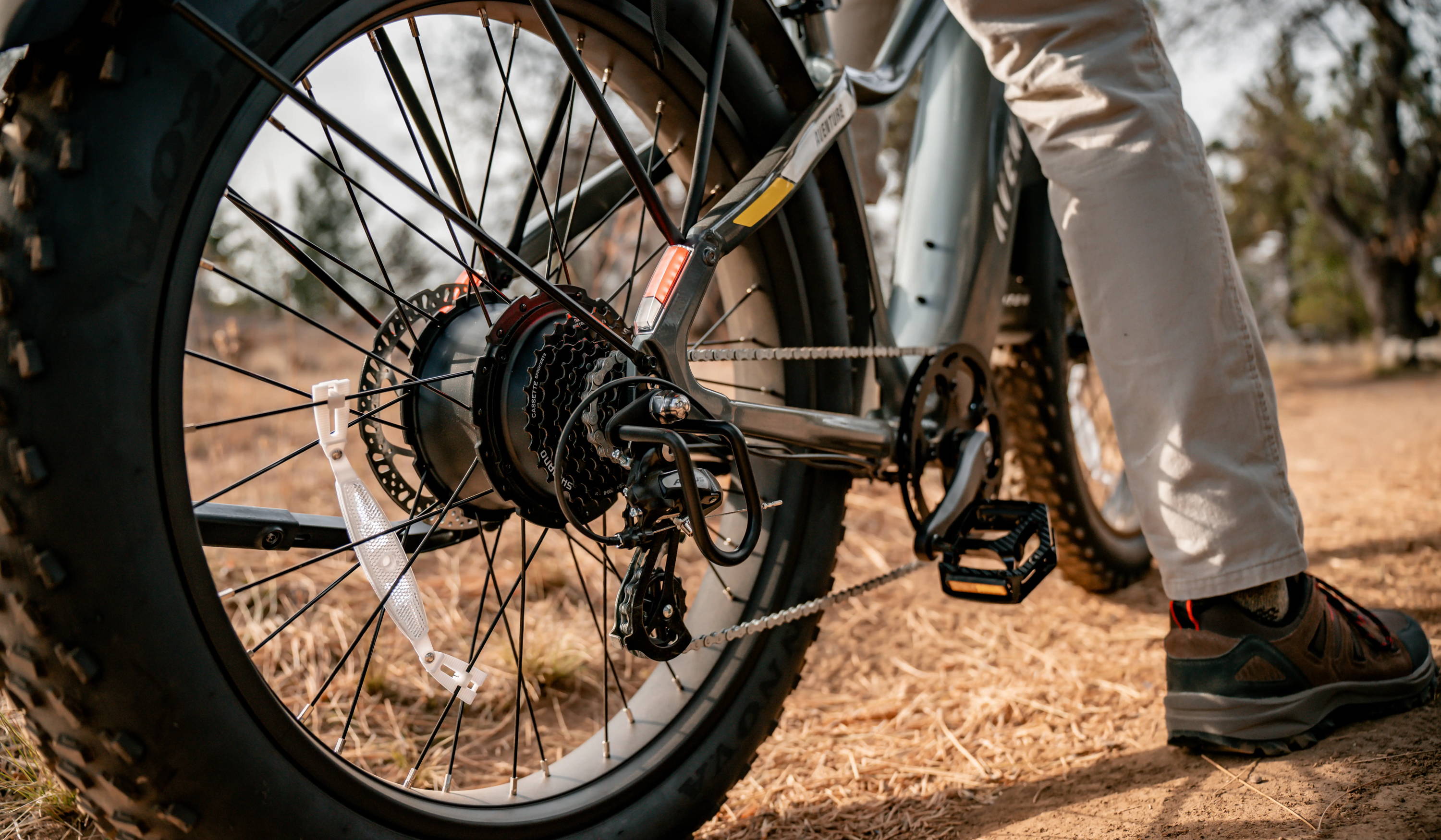 Types of Ebike Motors: Which is Best?