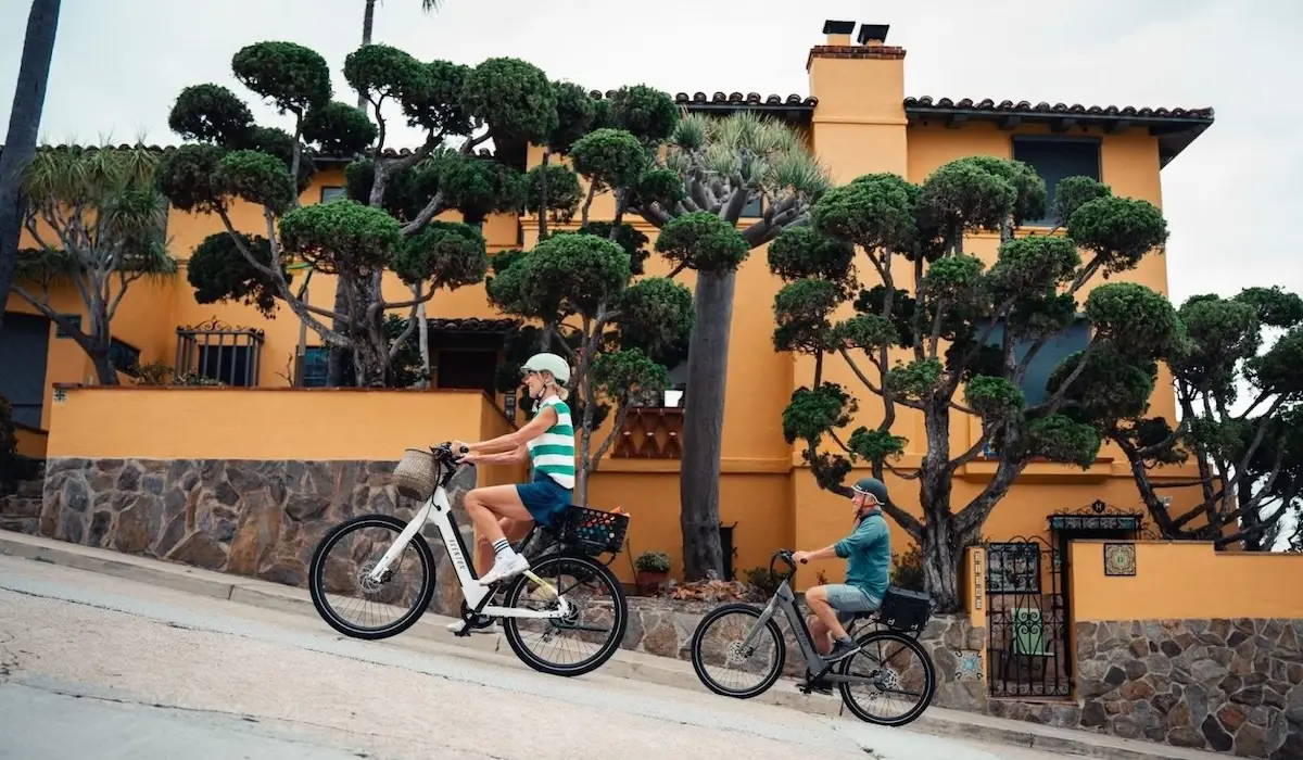 8 Best Ebikes for Hills