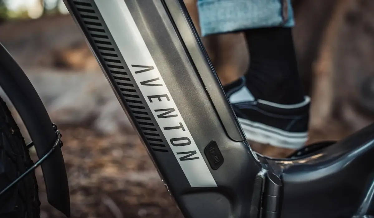 8 Best Electric Bikes With Removable Battery in 2025