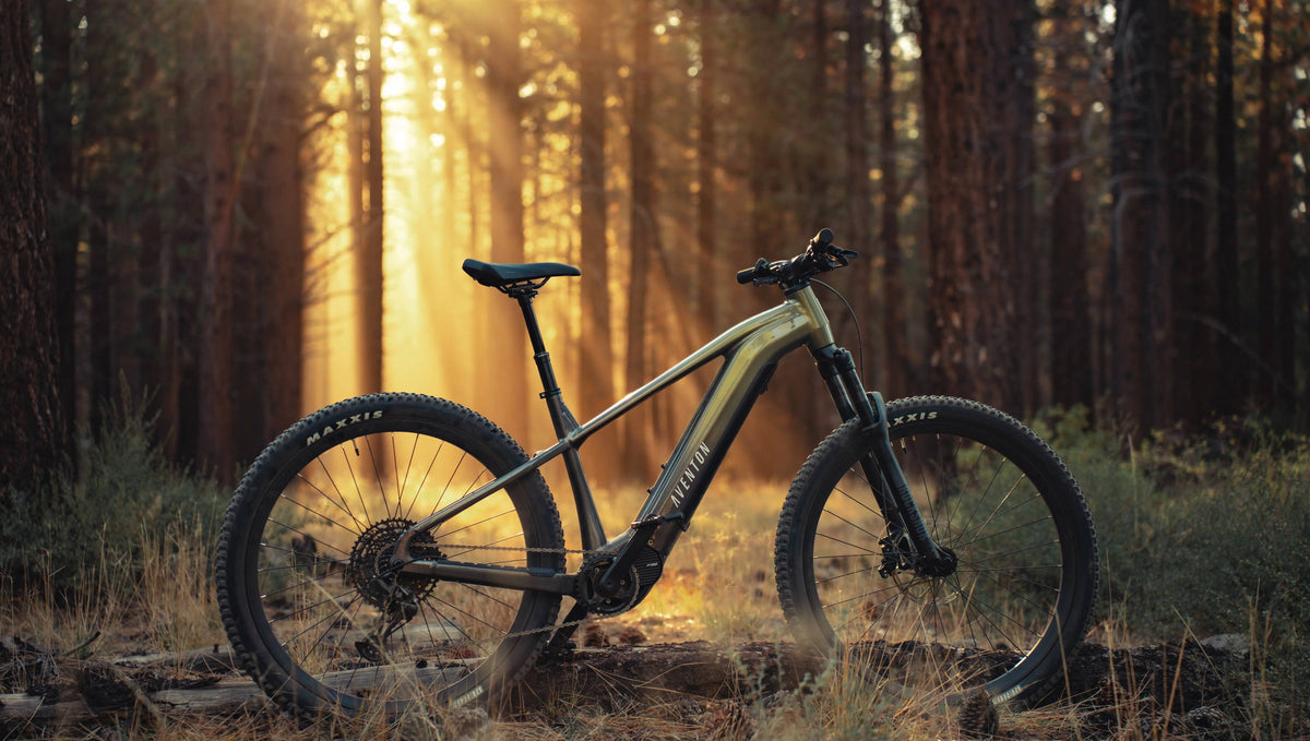 Aventon Ramblas Review: Aventon’s First eMTB (Electric Mountain Bike)