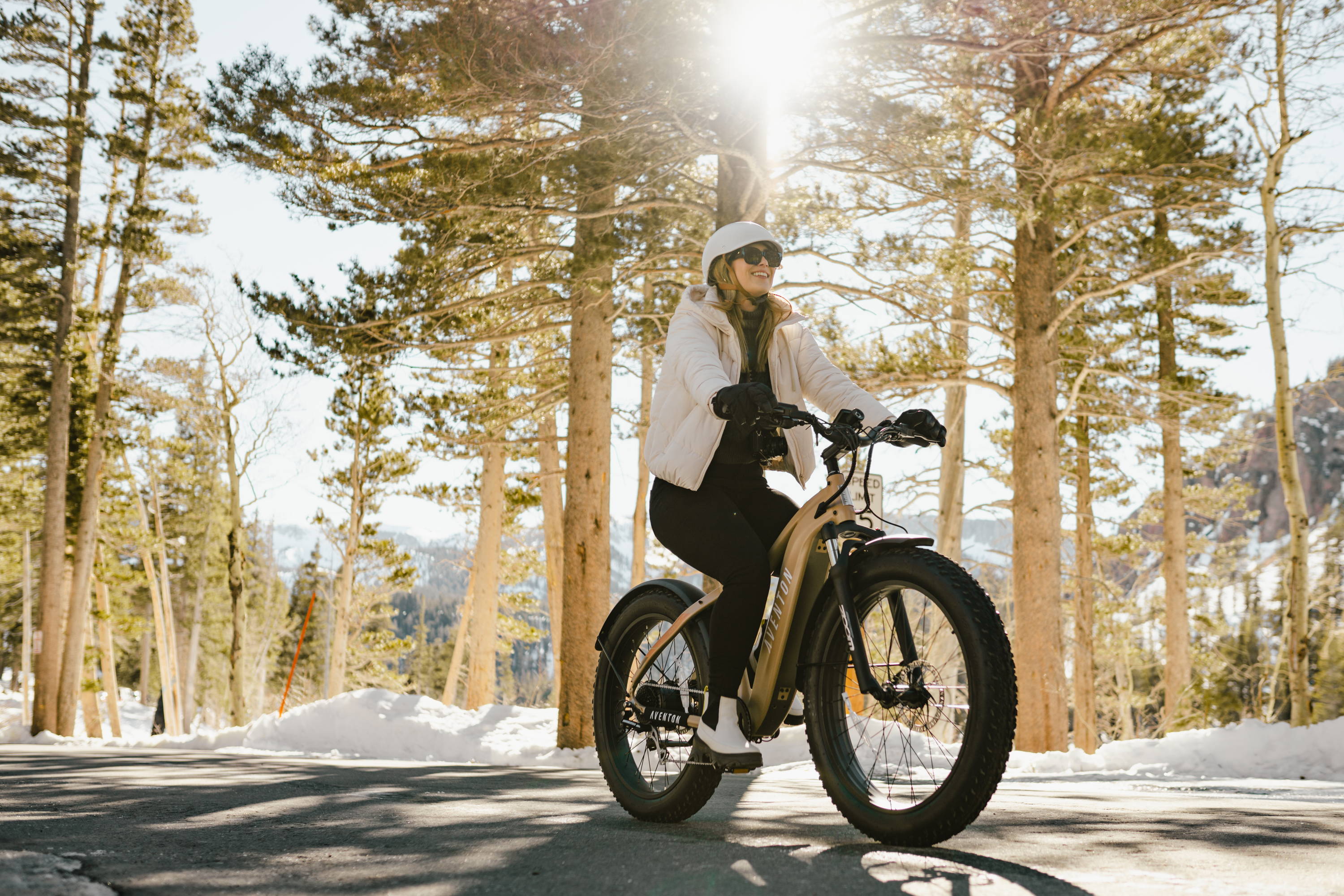 Aventon’s Holiday Bundles