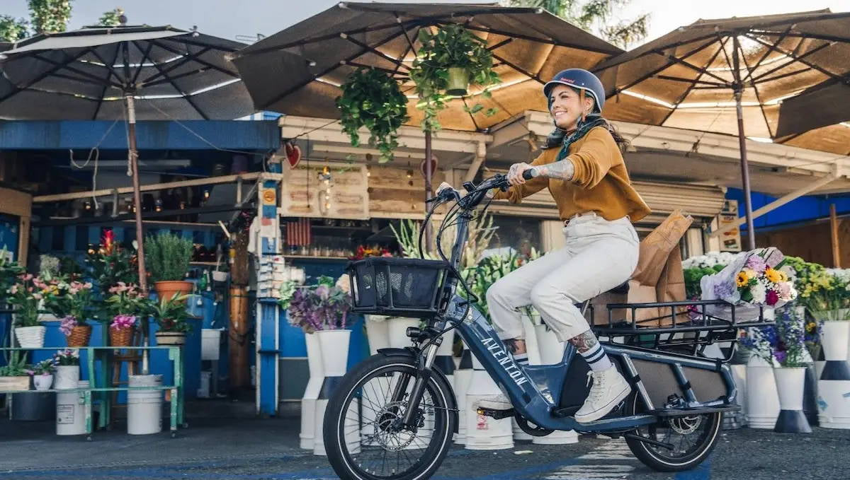 8 Best Ebikes for Delivery