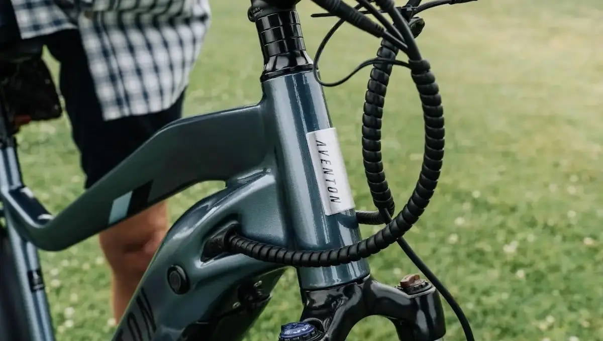 5 Best Electric Bikes With 300-lb Capacity 2025