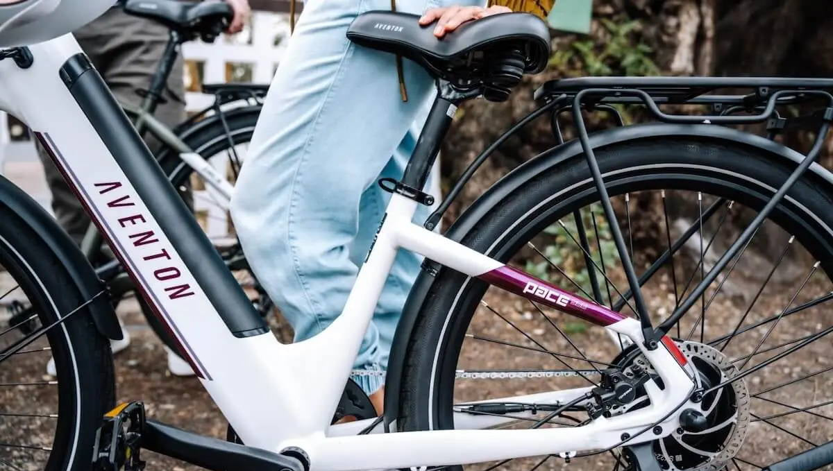 6 Best 500-Watt Electric Bikes for Adults in 2024