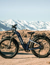 Aventon vs RadPower: Comparing The All New Aventure.2 Against The RadRover 6 Plus