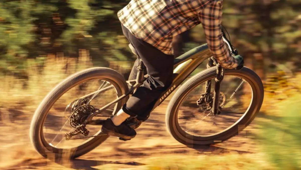 7 Best Class 1 Electric Bikes in 2024 for All Riding Styles