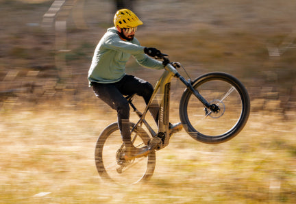 Fat Tire Electric Mountain Bike (eMTB)
