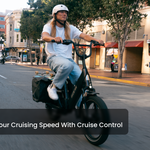 Load image into Gallery viewer, info cruise control - common
