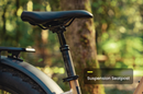 aventure 3 seatpost - common