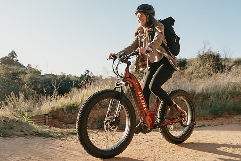 ladies electric mountain bikes for sale